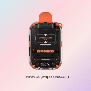Flava Nimmbox 10000 Puffs Disposable Vape