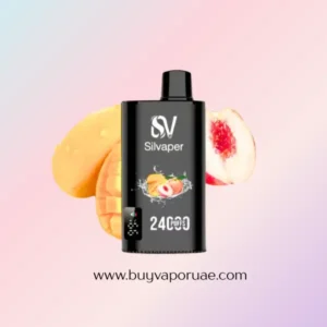 Silvaper 24000 Puffs Best Disposable Dubai